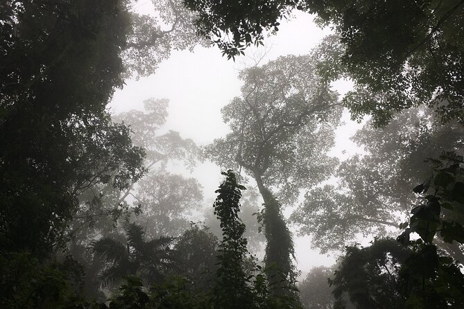 Chicaque Cloud Forest Hike - Reviews and Ratings
