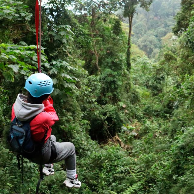 Chicaque Foggy Forest Hike - Natural Features and Wildlife