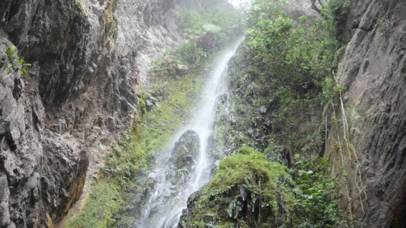 Chicaque Full-Day Trip From Bogotá - Inclusions and Amenities