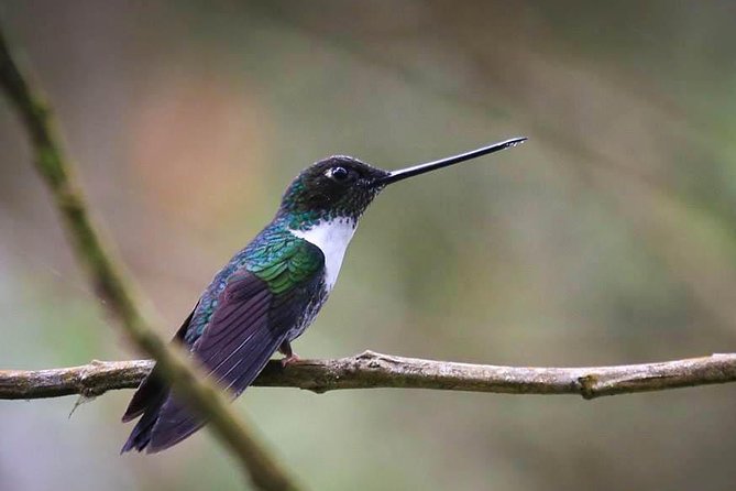 Chicaque National Park - Recommended by Travelers
