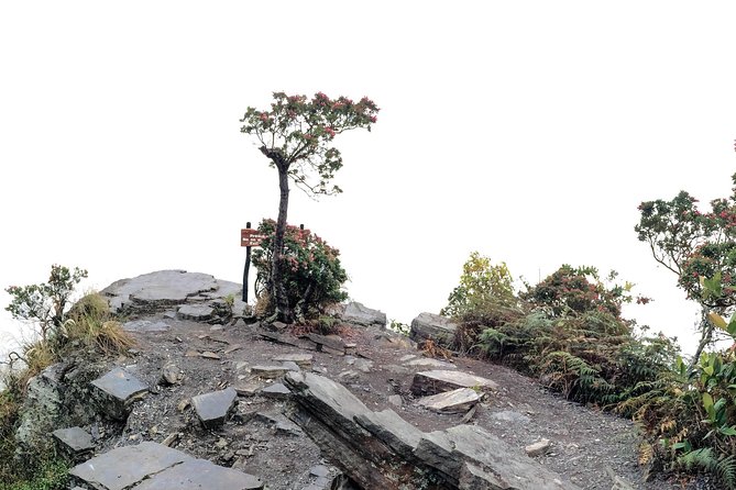 Chicaque National Park - Private Transport and Inclusions