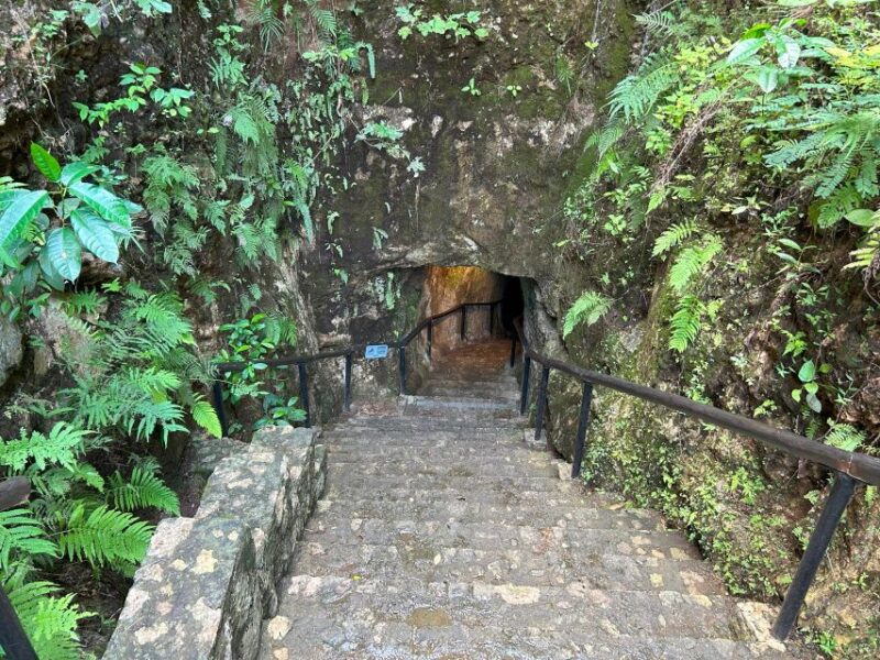 Chichen Itza and Coba Ruins + Cenote Swimming Full Day Tour - Customer Reviews