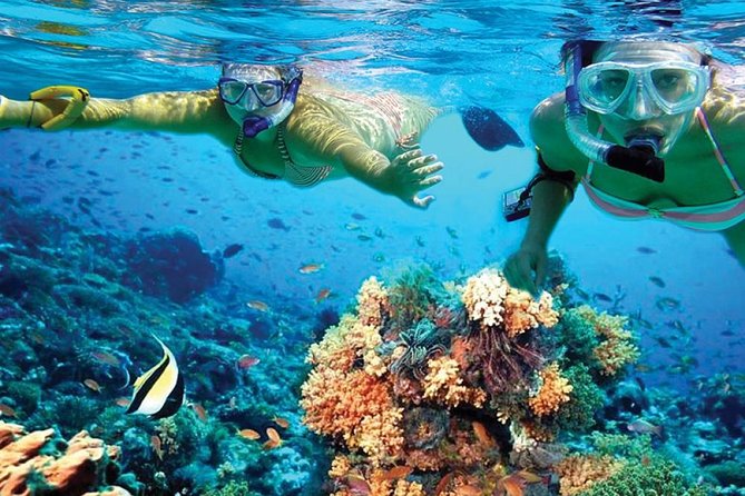 Chichen Itza Early Access & Catamaran to Isla Mujeres - Logistical Details