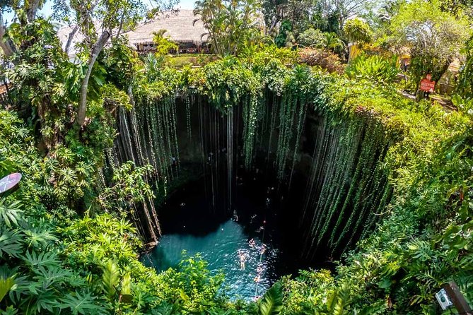 Chichen Itza, Lunch and Cenote From Valladolid (Private Tour) - Host Response
