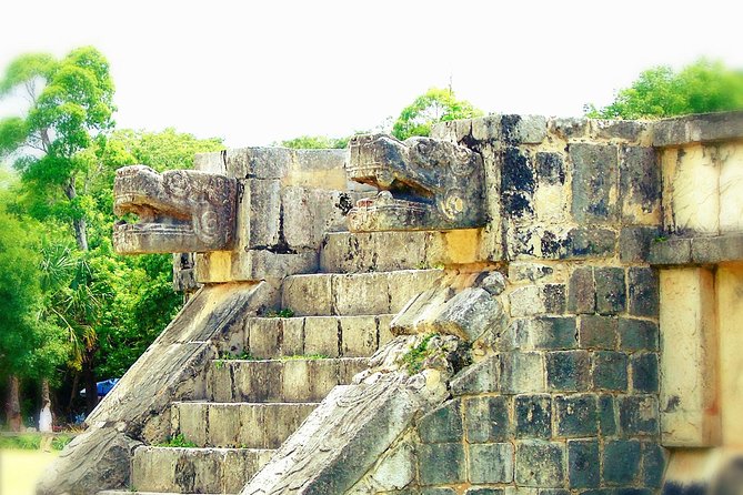 CHICHEN ITZA PLUS Tour, Cenote, Buffet Valladolid(No Hidden Fees) - Customer Feedback and Experiences