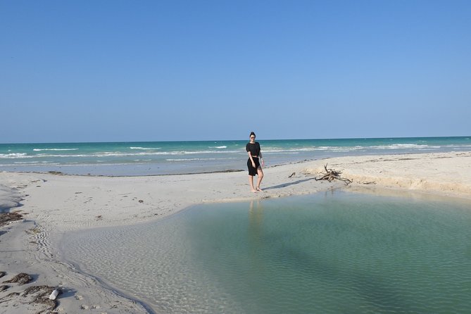 Chichen Itza, the Pink Lagoon and Pink Flamingos - Tour Guide Expertise
