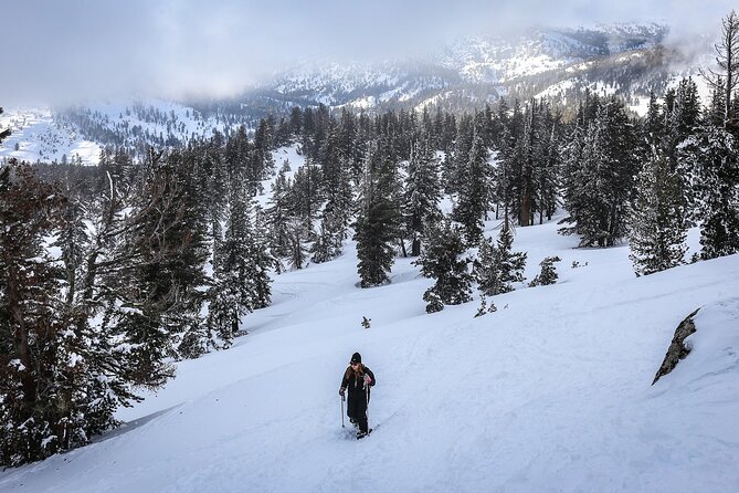 Chickadee Ridge Beginner Snowshoe Activity - Meeting and Pickup Details