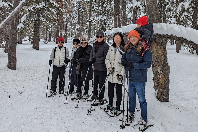 Chickadee Ridge Beginner Snowshoe Activity - Terrain and Weather Expectations