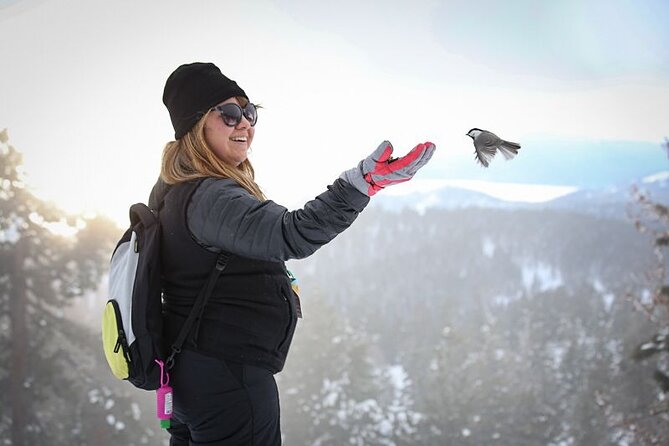 Chickadee Ridge Beginner Snowshoe Activity - Recommended Attire and Gear