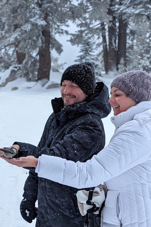Chickadee Ridge Beginner Snowshoeing Hike - Key Points