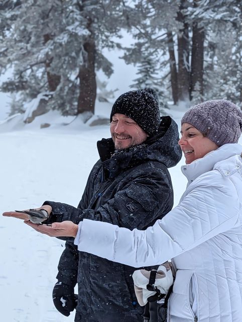 Chickadee Ridge Beginner Snowshoeing Hike - Tour Features