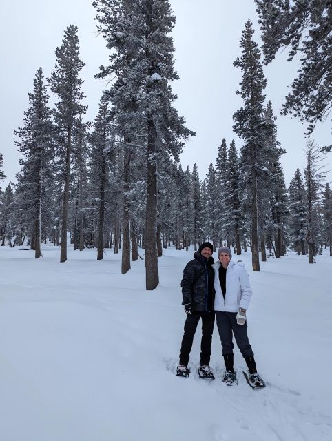 Chickadee Ridge Beginner Snowshoeing Hike - Wildlife Encounters
