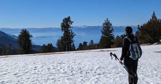 Chickadee Ridge Beginner Snowshoeing Hike - Forest Magic