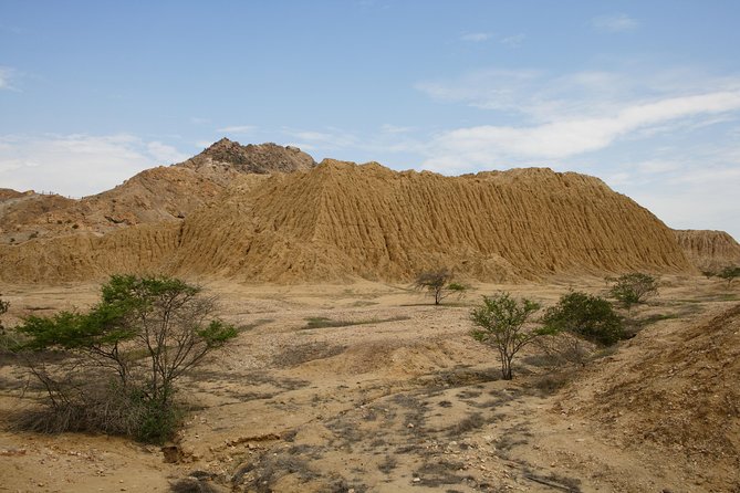 Chiclayo in a Day: Huaca Rajada, Tucume and Sipan Royal Tomb Museum With Lunch - Highlights of the Tour