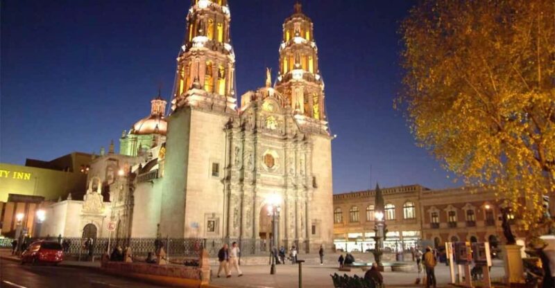 Chihuahua: Chihuahua at Night - Tour Description