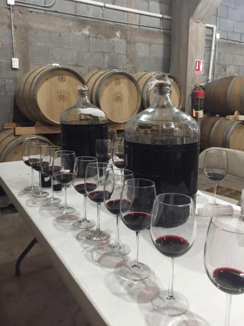 Chihuahua: Insignia Winery Wine Tasting Experience - Winemaking Process