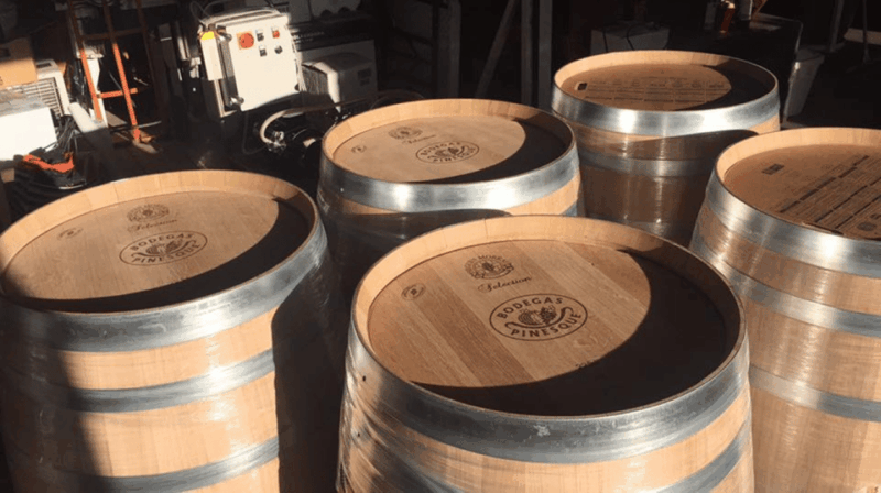Chihuahua: Insignia Winery Wine Tasting Experience - Barrel Room Tour