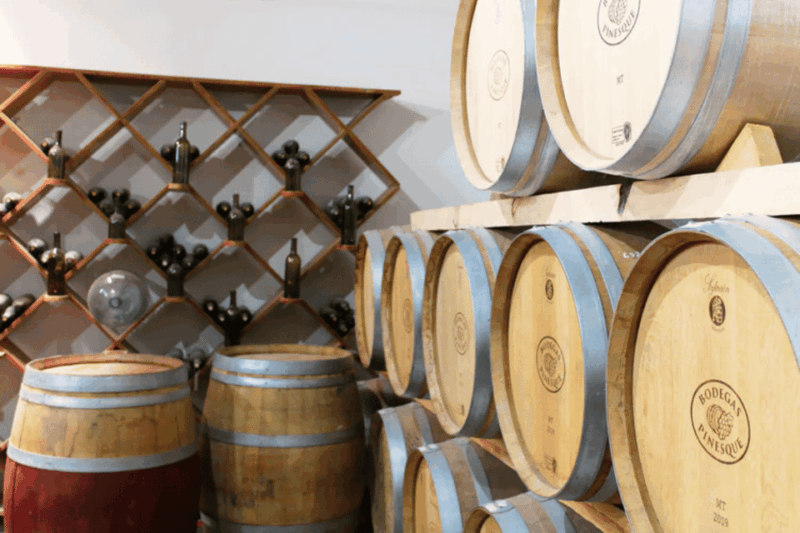 Chihuahua: Insignia Winery Wine Tasting Experience - Production Methods
