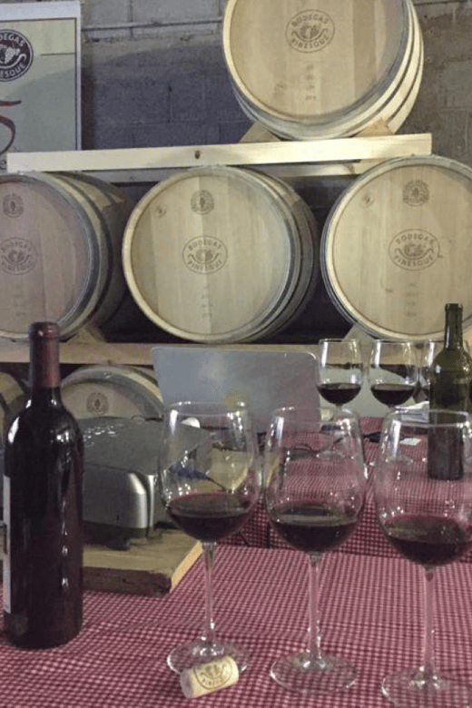 Chihuahua: Premium Wine Tasting Experience - Key Points