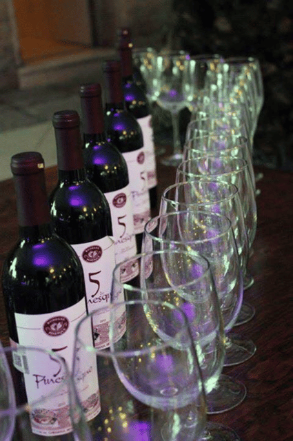 Chihuahua: Premium Wine Tasting Experience - Wine Selection