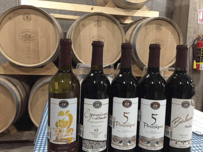 Chihuahua: Premium Wine Tasting Experience - Availability and Scheduling