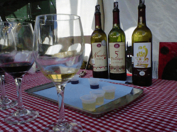 Chihuahua: Wine Tasting Tour - Booking and Availability