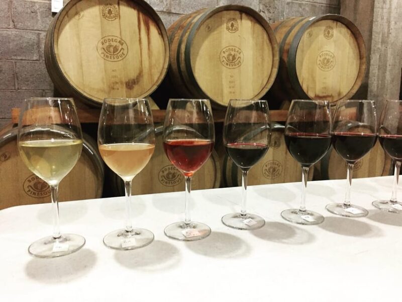 Chihuahua: Winery Tasting Experience - Tasting Experience
