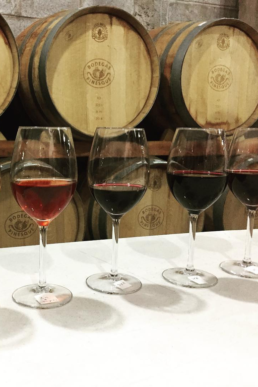Chihuahua: Winery Tasting Experience - What to Bring