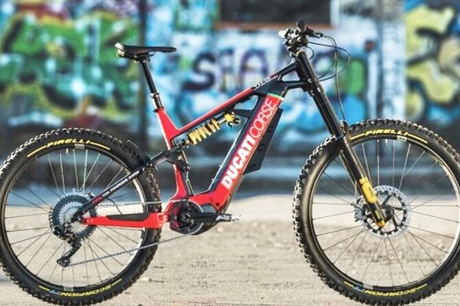 Chilao Loop Electric Mountain Bike Tour (Advanced) - Health and Safety