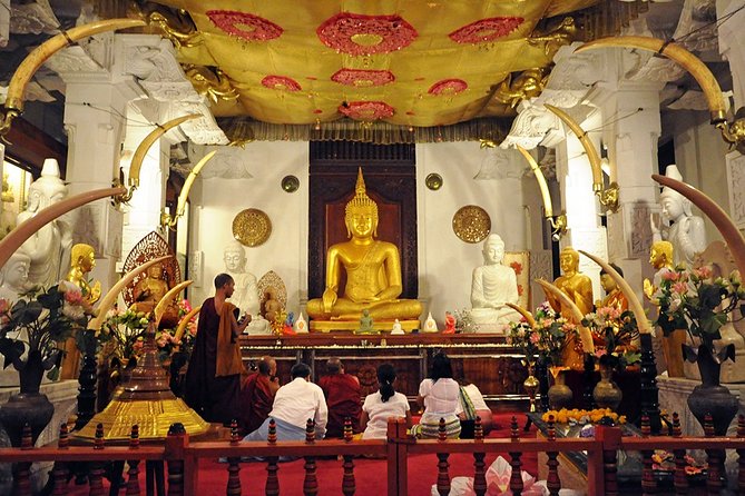 Child-Oriented Family Tour in Sri Lanka & Beach Holidays - by Minivan - 2 Weeks - Entry Fees and Extras