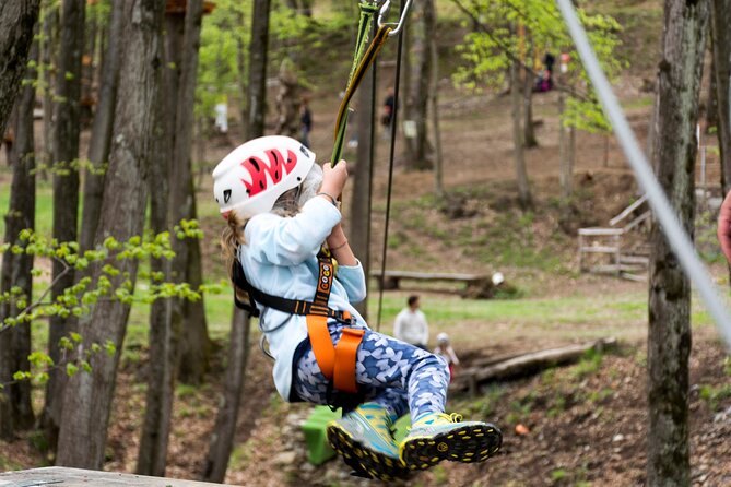 Children Daily Ticket for Adventure Park in Gravedona - Ticket Pricing Information