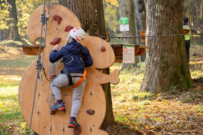 Children Daily Ticket for Adventure Park in Gravedona - Booking and Reservation Details