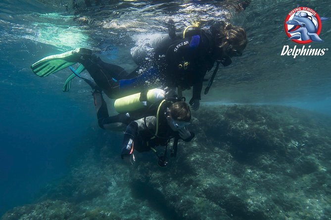 Childrens PADI Diving Experience in Gran Canaria - Pricing and Cancellation Policy