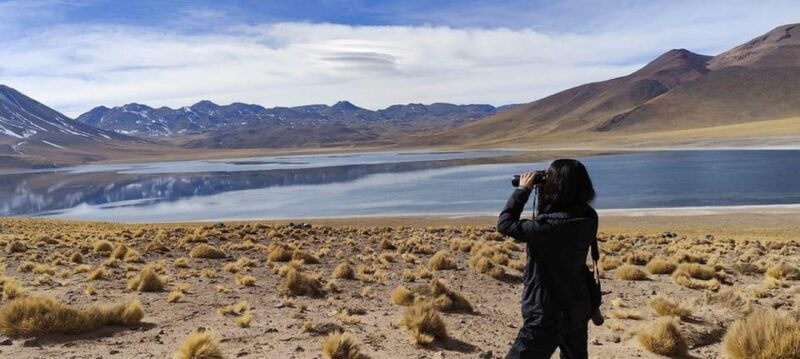 Chile: Unforgettable Altiplano Adventure - Altitude Adventure and Expert Guidance