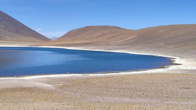 Chile: Unforgettable Altiplano Adventure - Contact Information and Coordination