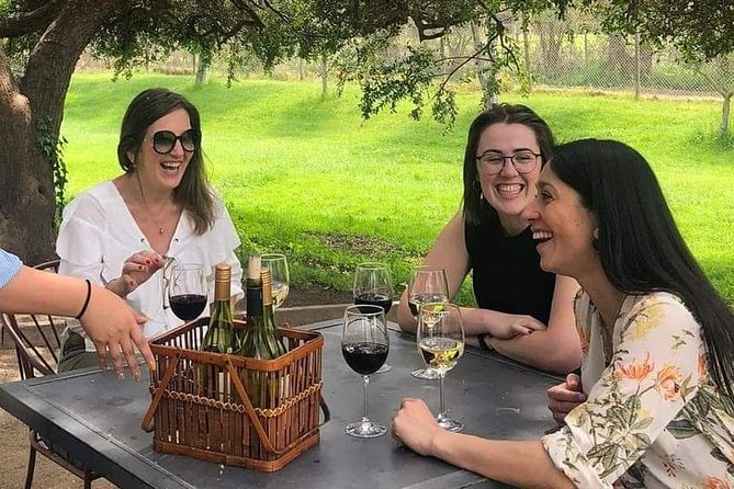Chile Wine Boutique - Guided Wine Tour Experience