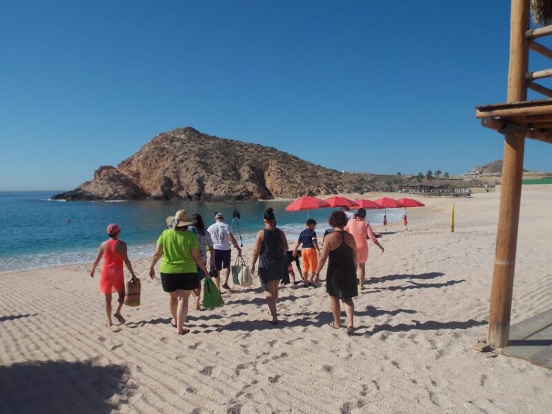 CHILENO BEACH DAY TRIP - Customer Feedback
