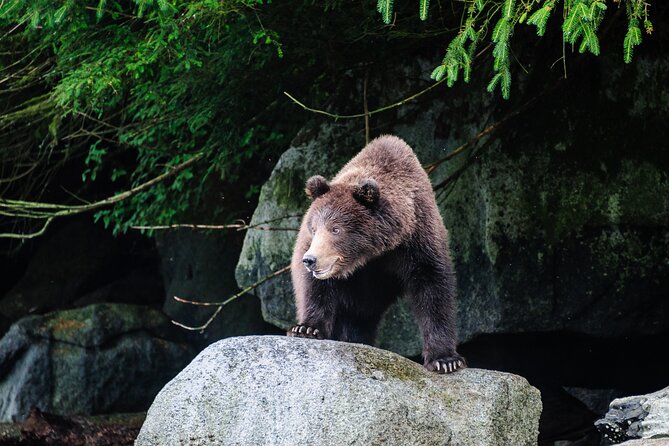 Chilkoot Lake Kayaking - Departing From Skagway - Wildlife and Nature Exploration