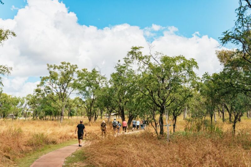 Chillagoe Caves and Outback From Cairns Full-Day Tour - Itinerary Highlights