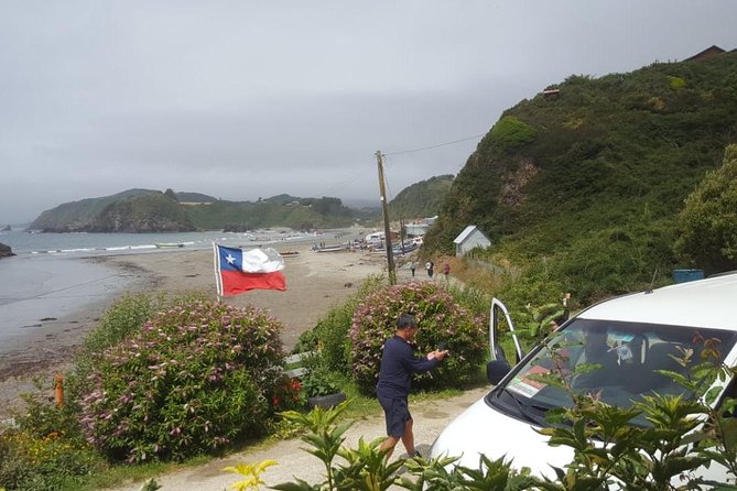 Chiloe Island - Puñihuil Tour - Transportation and Included Services