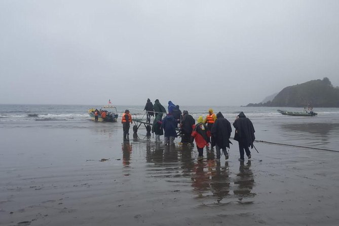 Chiloe Island - Puñihuil Tour - Penguin Species and Observation