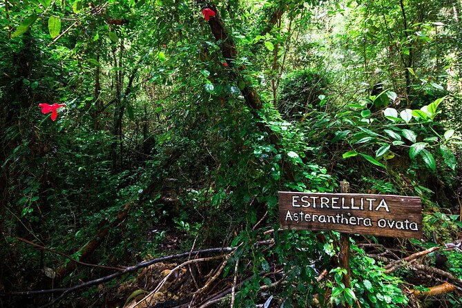 Chiloe National Park and Chonchi Darwin Route - Natural Riches of Chiloe