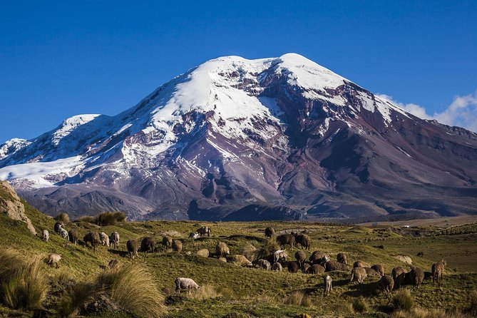 Chimborazo Tour From Quito: Hiking and Ascent to Condor Cocha All Included - Itinerary Highlights