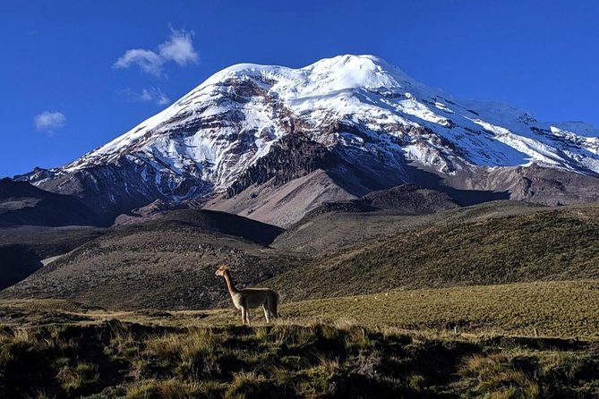 Chimborazo Tour From Quito: Hiking and Ascent to Condor Cocha All Included - Descending to the Parking Lot