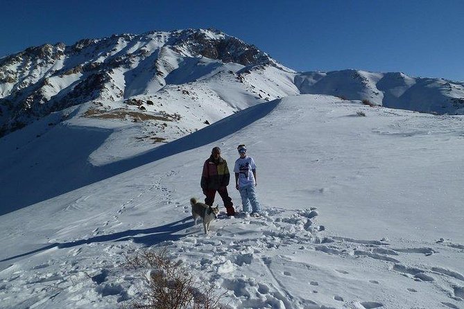 Chimgan Mountains & Amirsay Resort From Tashkent - Experience Insights