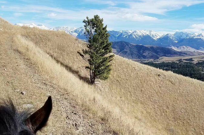 Chimney Rock Trail Ride - Final Thoughts: Is This Tour Right for You?