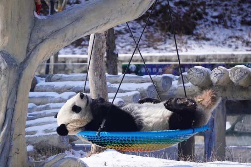 China:Classic China Sightseeing Tour - Cruising the Li River