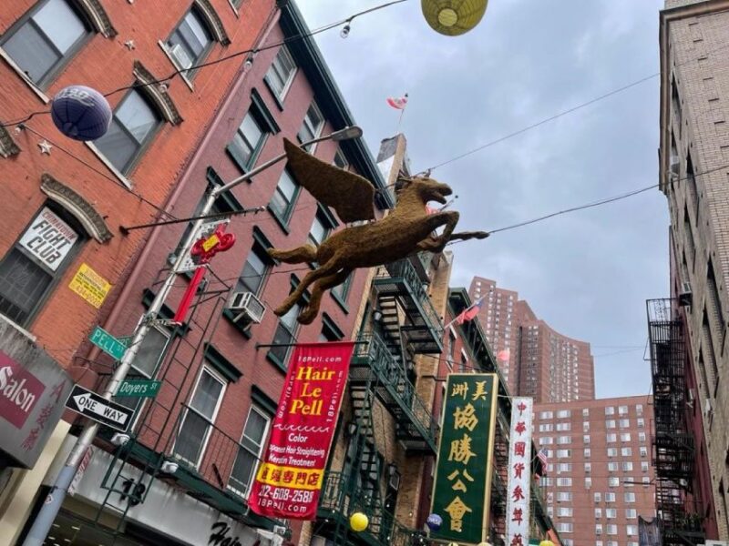 Chinatown Walking Food Tour of New York - Exploring Chinatowns Cultural Landmarks