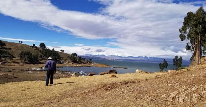 Chinchero Private Excursion + Alpaca Walk - Itinerary Highlights