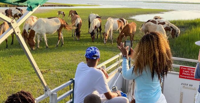 Chincoteague: Assateague Island Sunset Boat Cruise - Customer Feedback